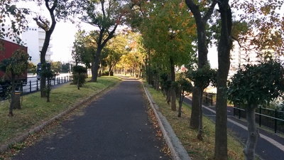 野鳥園への道１